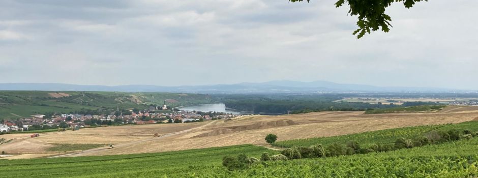 Hier könnt ihr Tickets für den „WeinGroove“ gewinnen