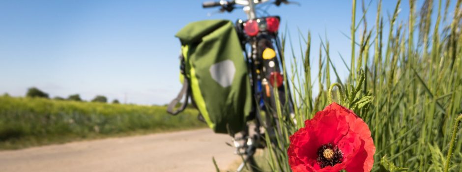 Bauprojekt gestartet: K41-Radweg zwischen Eimsheim und Uelversheim
