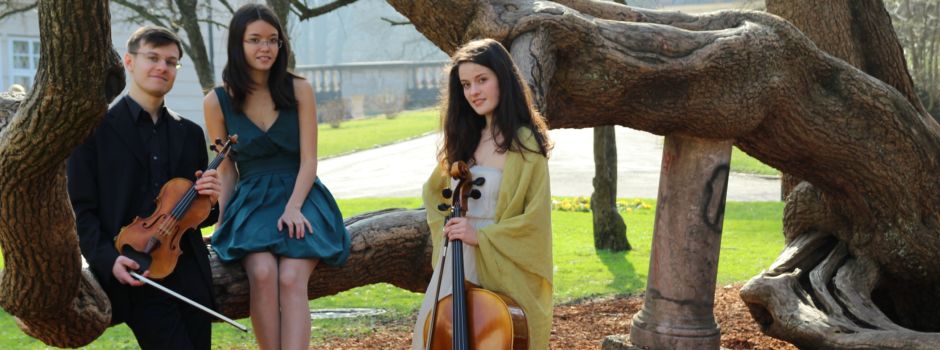 Accio-Trio zu Gast in Soltau