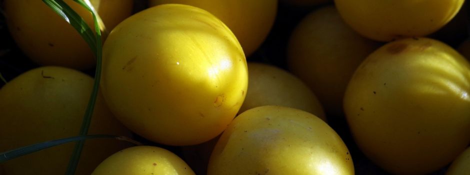 Mirabellenfest im Kerwegarten