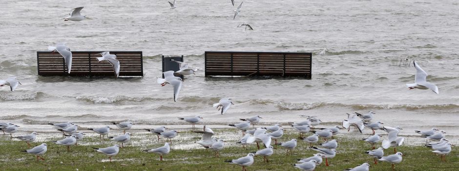 Schneeschmelze verursachte Hochwasser