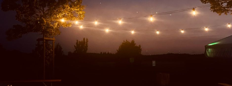 Lingerhahner Weinterrasse #3