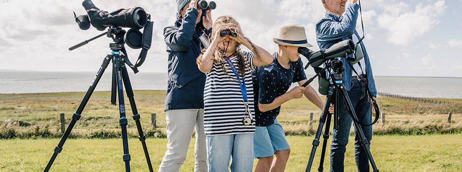 Vogelkundliche Führung: Wie zählt man Vögel?