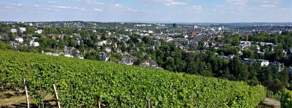 Wiesbaden wächst langsamer als Mainz und Frankfurt