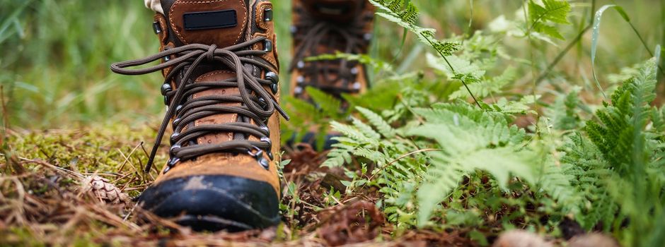 Geführte Wanderungen in Lopau