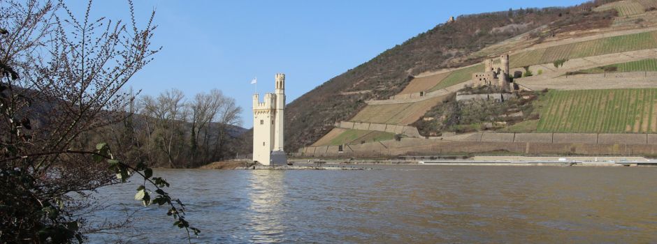 Mann stürzt in den Rhein – Zufall rettet ihm womöglich das Leben