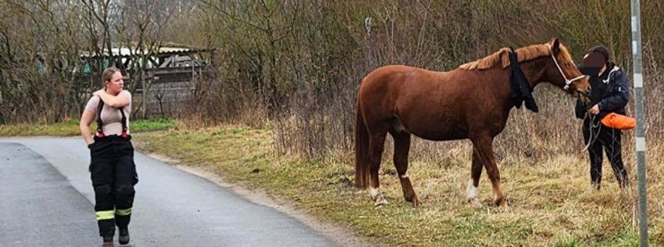 Reitunfall in Heidesheim: Feuerwehr fängt Pferd ein und rettet Reiterin
