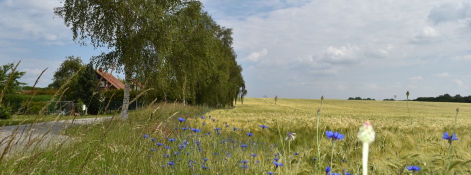 Neue Ausstellung in Kleinen Galerie