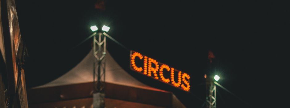 Tiere raus aus dem Zirkus!