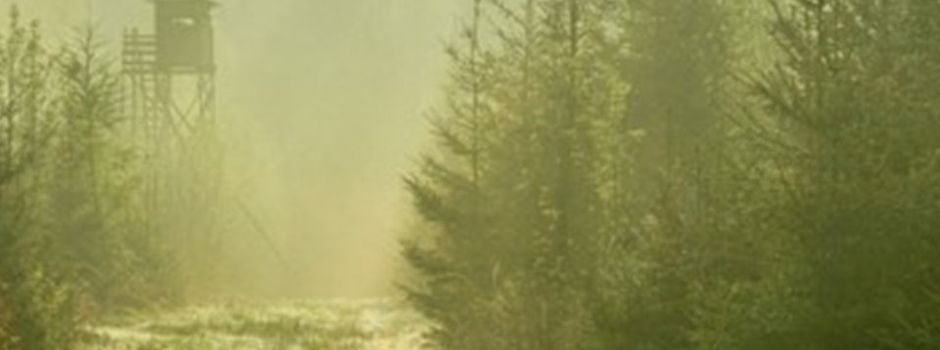 Von Sauen, Füchsen und Hasen – das Jagdjahr im Garstedter Revier.