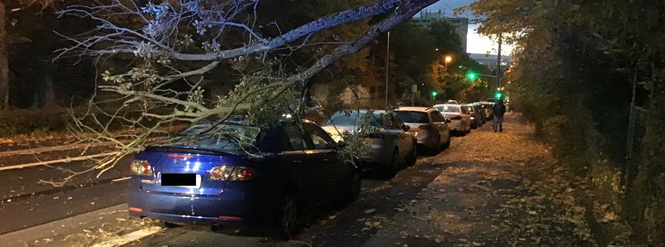 Sturm „Ignatz“: Wiesbadener Feuerwehr im Dauereinsatz