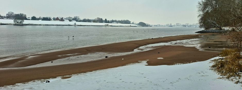 Elbinsel: Das ist der aktuelle Stand