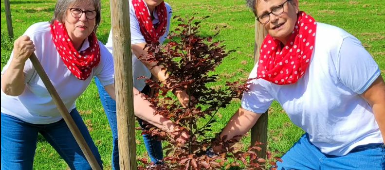 Vereins-Challenge zum Thema Klimaschutz