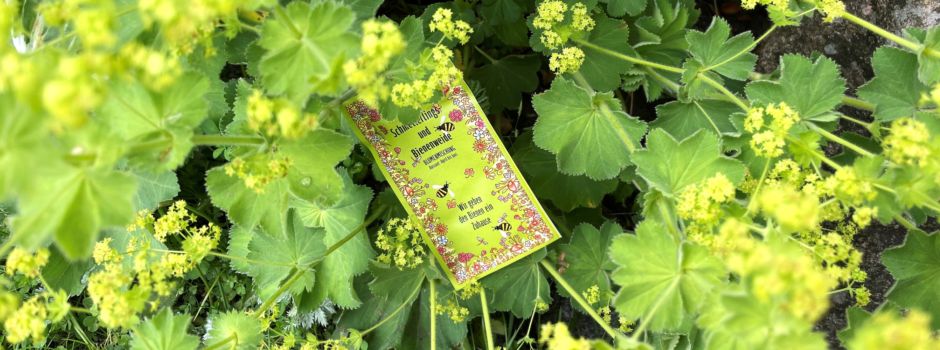Jetzt mitnehmen: Kostenlose Blumenmischung