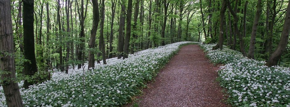 Respekt und Regeln in der Natur
