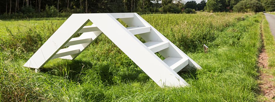Tour zur „Treppe“ bei Hartböhn