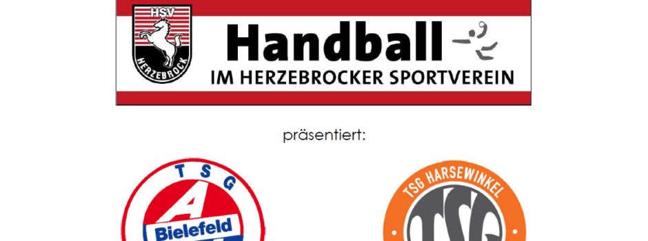 Herzebrocker SV richtet Handballtestspiel der TSG Altenhagen-Heepen (3. Liga) gegen die TSG Harsewinkel aus