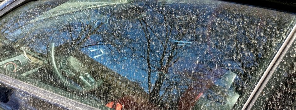 „Blutregen“ in Rheinhessen erwartet