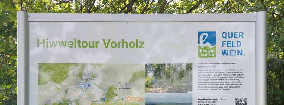 Hiwweltour Vorholz
