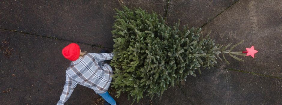 Abholung Weihnachtsbäume 2025