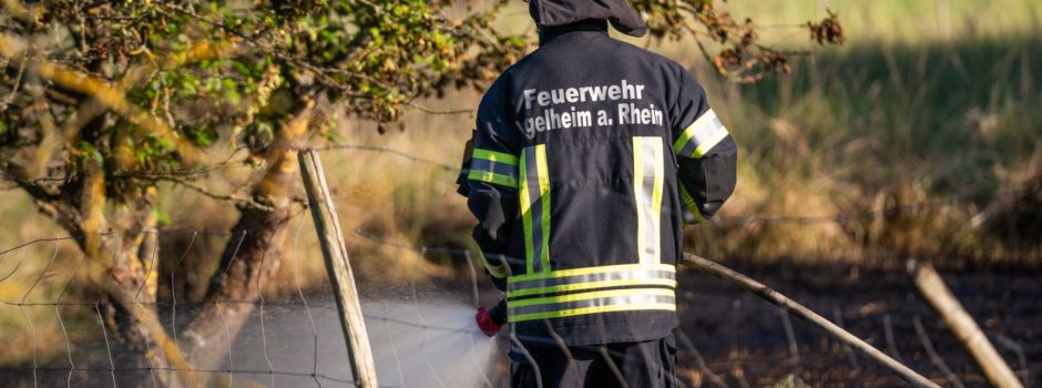 Tag der offenen Tür bei Ingelheimer Feuerwehr