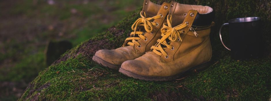 Wanderung zu den Drei Buchen