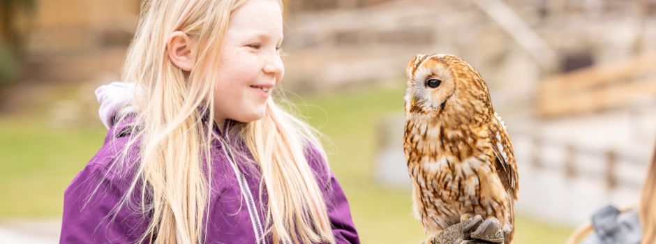 Ferienprogramm im Wildpark