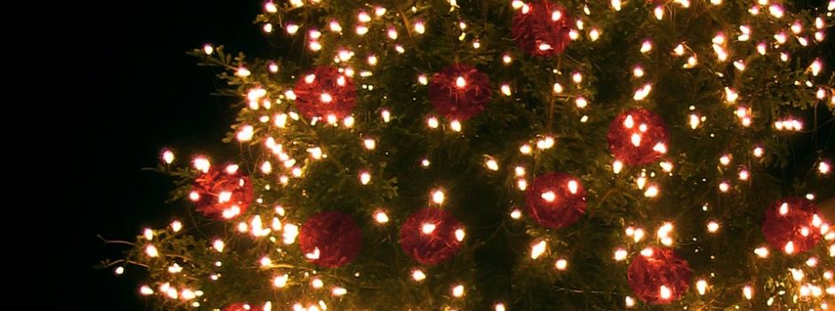 Wer hat einen Weihnachtsbaum?