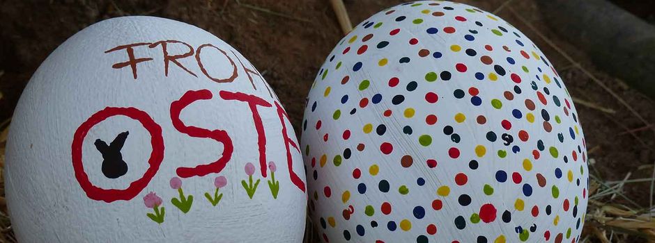 Das ist am Wochenende in Koblenz los