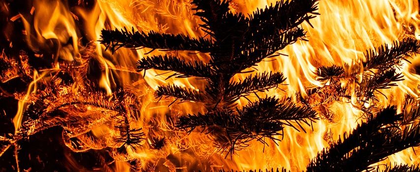 Einladung zum 16. Knutfest des SVK und Neujahrsempfang der Gemeinde am 10.01.2026 ab 16:00 Uhr