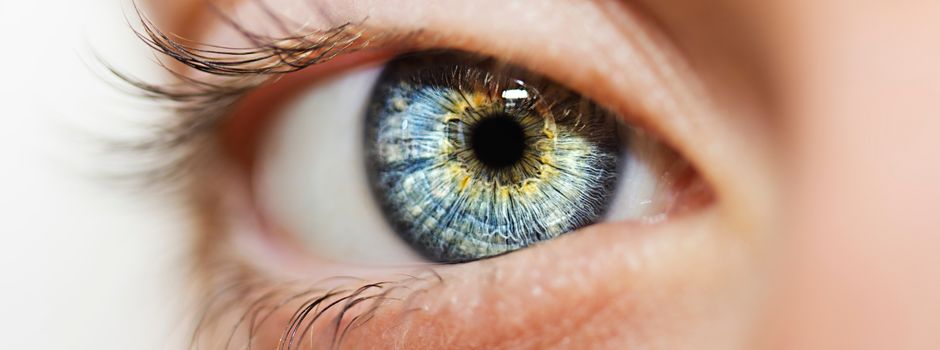 Blickpunkt Auge