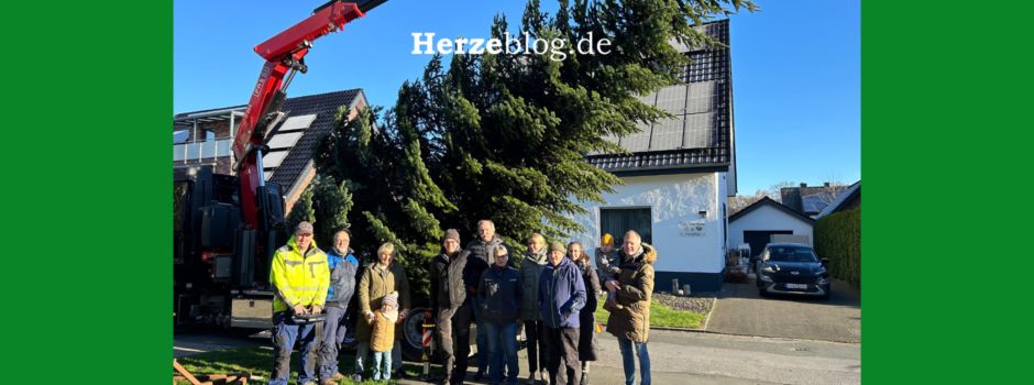 Nachbarschafts-Weihnachtsbaum in der Wulfbrede wächst zu beeindruckender Tradition heran
