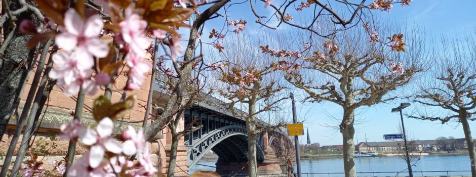 Super-Wetter: Was muss ich in Mainz jetzt draußen beachten?