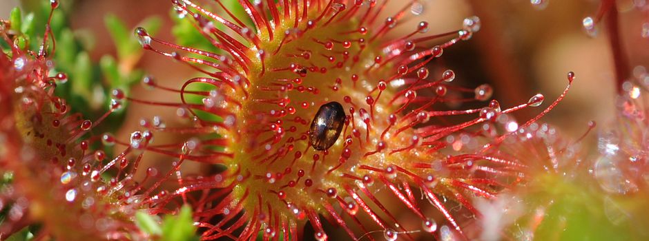 Wertvolle Natur im Blick