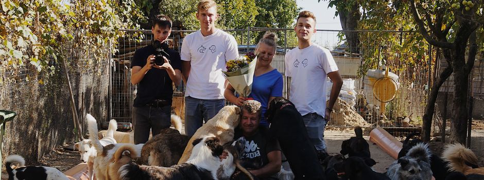 Heimatlosen Hunden wieder Hoffnung schenken