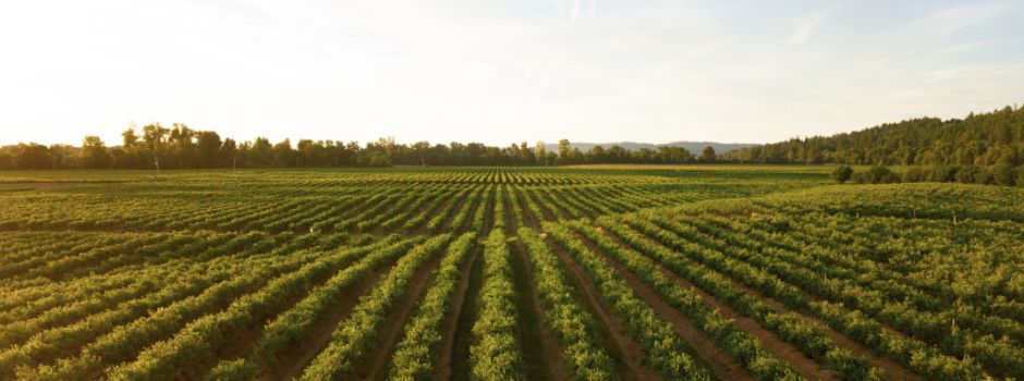 Start frei für unsere Volxheim-App!