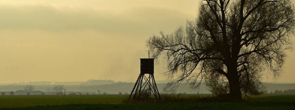 Drückjagd der Jagdpächter