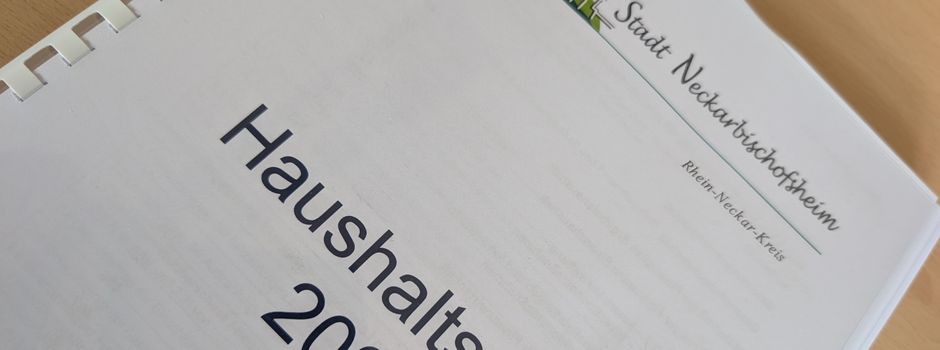 Am 24.2.: Gemeinderat tagt öffentlich