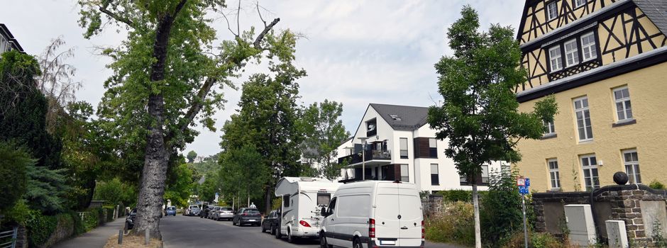 Stadt Koblenz fällt in den kommenden Wochen 80 Bäume