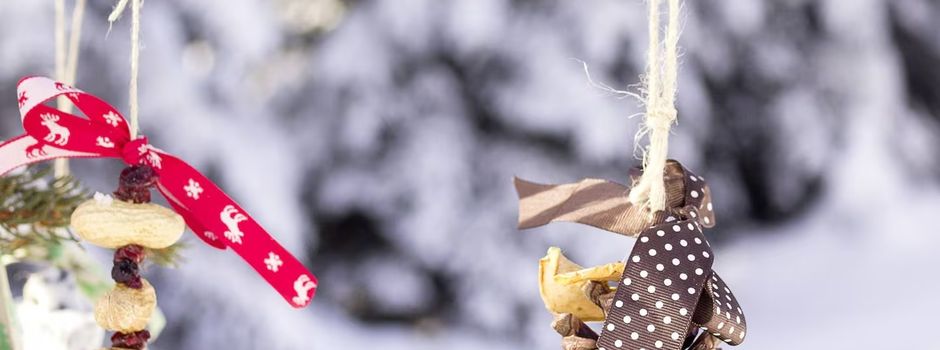 Kinder Weihnachtsfeier in Wied