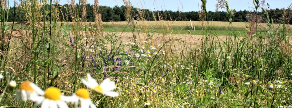 Landwirte und Naturschützer fordern Unterstützung von Landesregierung