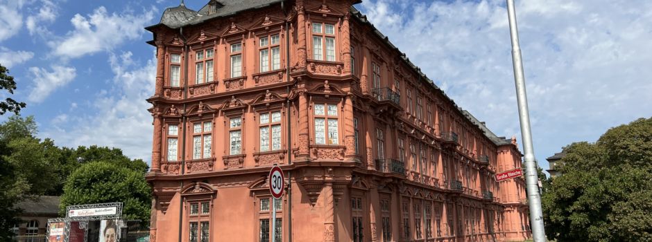 So sieht der neue Mainzer Stadtrat aus