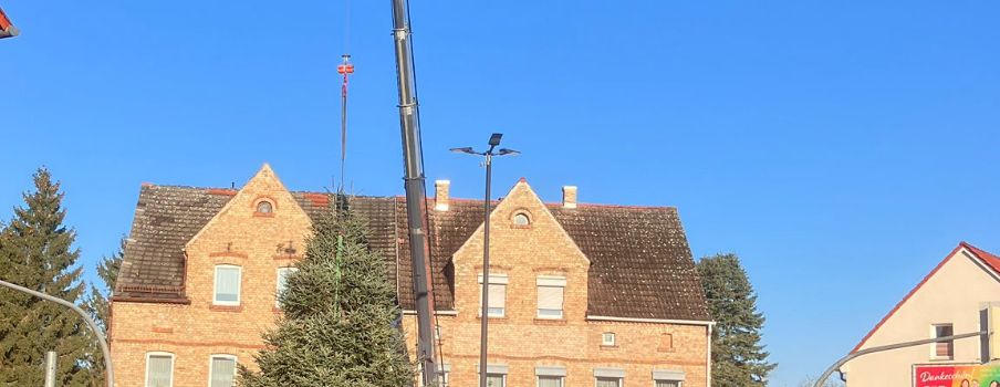 Weihnachtsbaum ist aufgestellt