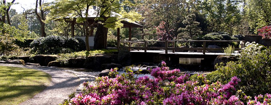 Blühender Frühling im Botanischen Garten