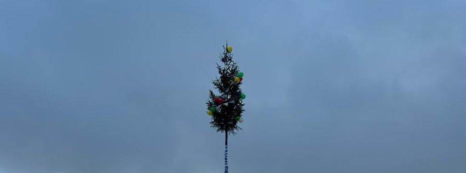 31. Ringtreffen der Narrenfreunde Heuberg 