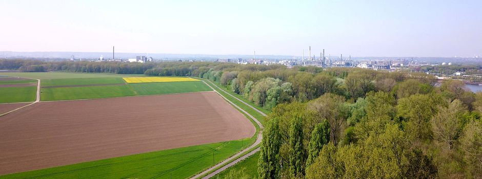 Demonstration gegen die Rheinspange 553 in Lülsdorf