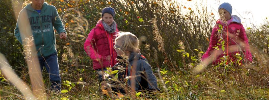 Wildniskurse für Kids – Abenteuer statt Bildschirmzeit