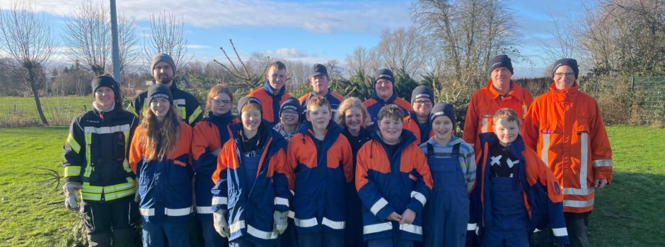 Tannenbaumsammlung erfolgreich