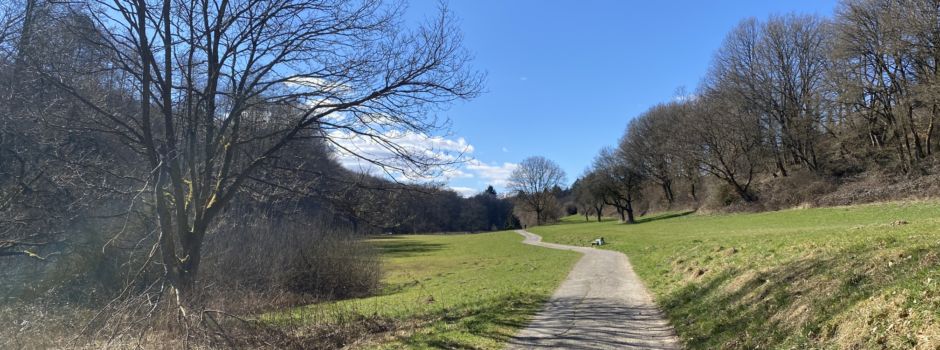 Waldbrandsituation in Hessen