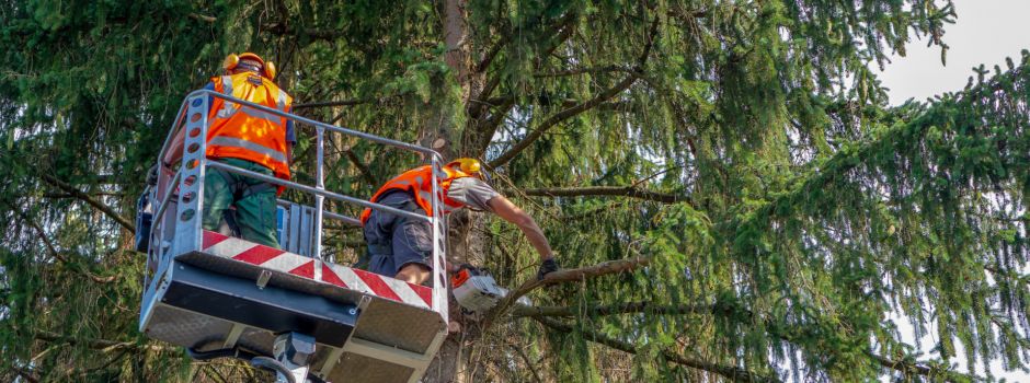 Straße Hasenwinkel in Soltau gesperrt